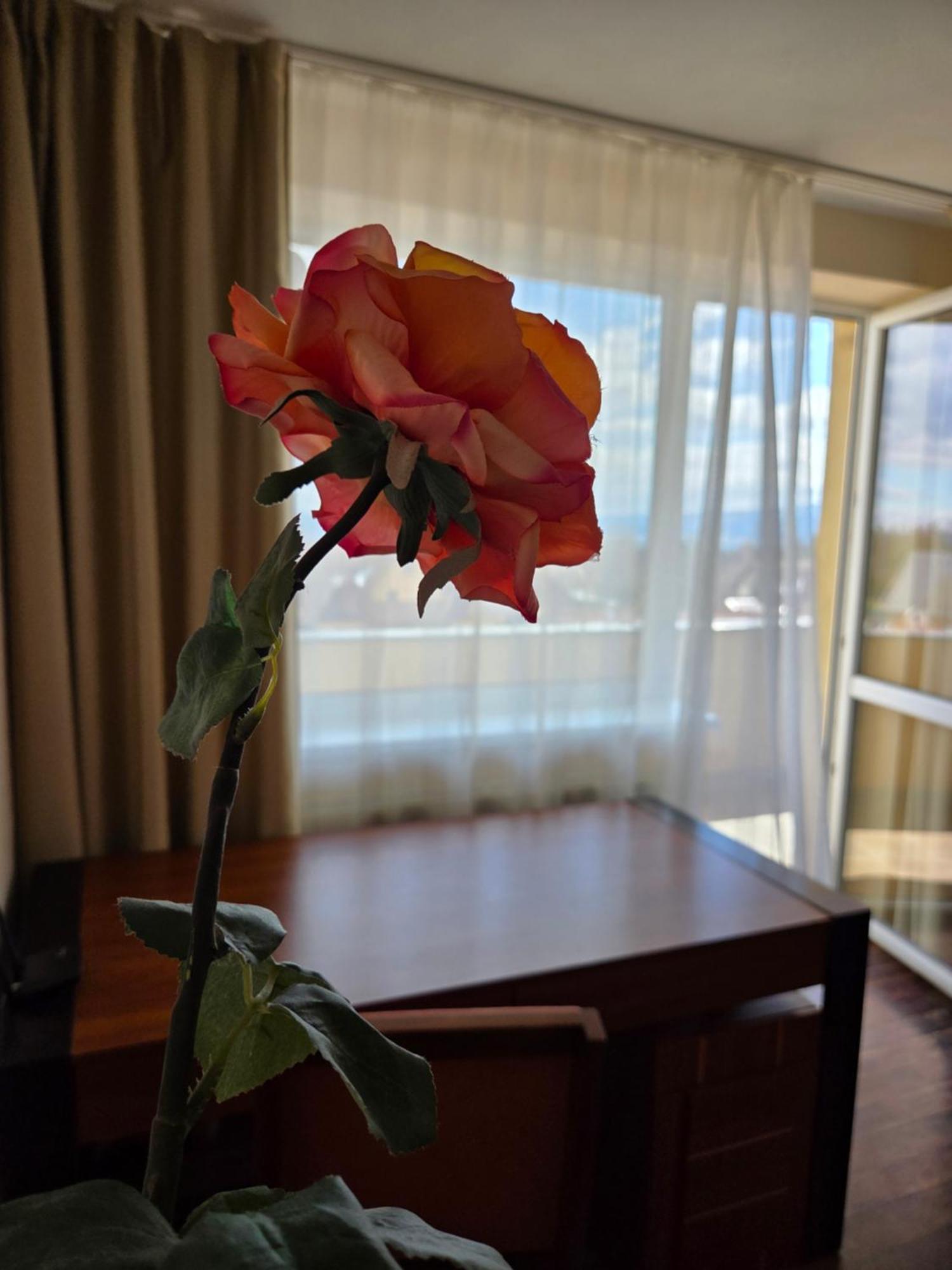 Apartment High Tatras Veľký Slavkov Εξωτερικό φωτογραφία